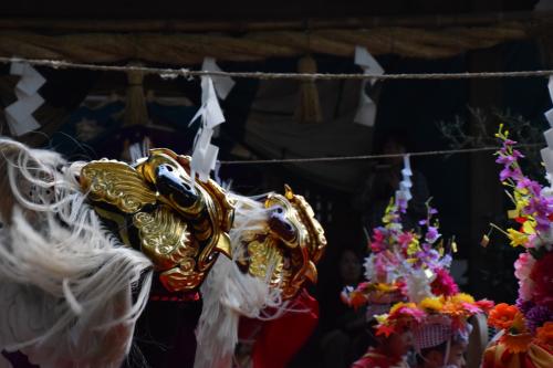 東木熊野神社２０１７年獅子舞写真２