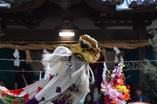 東木熊野神社２０１７年獅子舞写真５