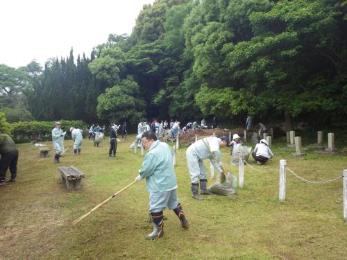 陸軍墓地清掃