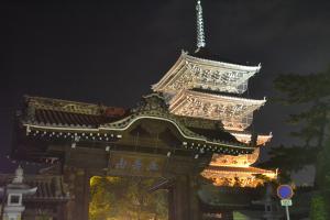 五重塔と南大門の夜景写真