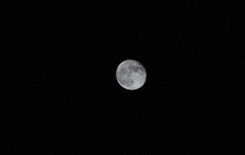十七夜の月写真１