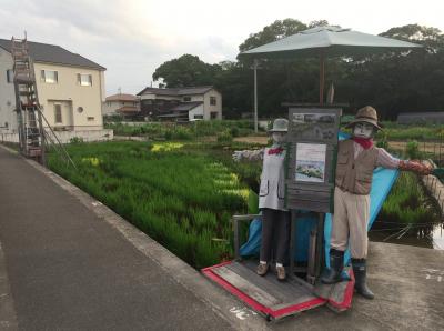 道路からの景色