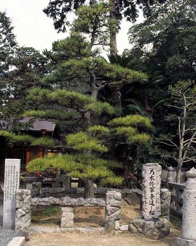 乃木将軍・妻返しの松写真