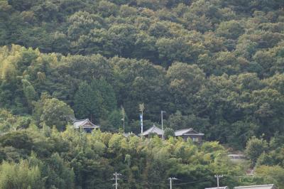 東碑殿天満宮遠景