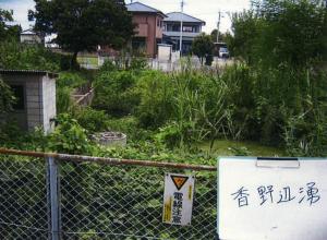 香野辺湧写真