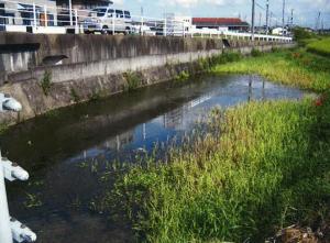 いたずり湧