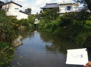 ごしょの湧