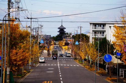 ゆうゆうロード紅葉写真３