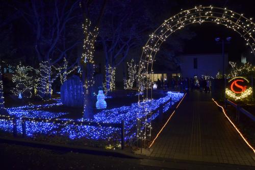 クリスマスイルミネーション