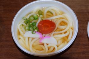 ダイシモチうどん