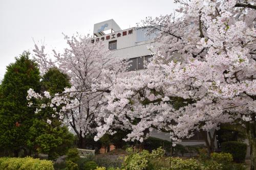 総合会館