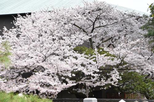 総本山善通寺