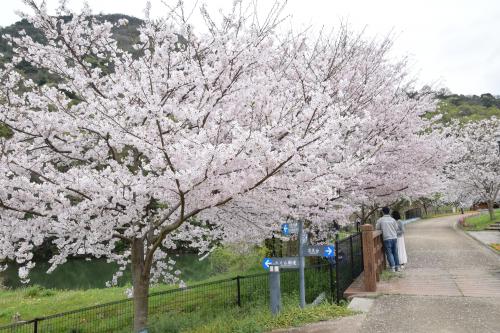 善通寺五岳の里　市民集いの丘公園