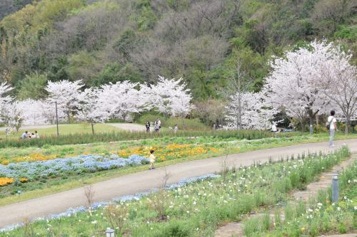 善通寺五岳の里　市民集いの丘公園