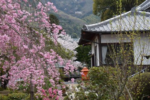 曼荼羅寺