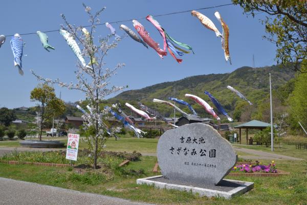こいのぼり