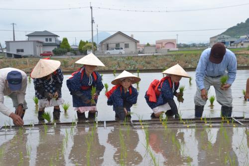 田植え