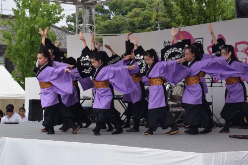 藤井学園響舞連