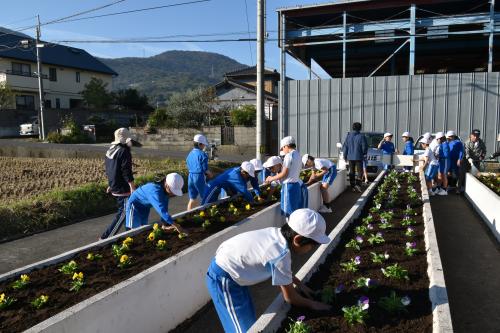 花壇植替え