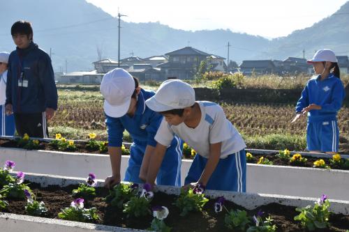 花壇植替え