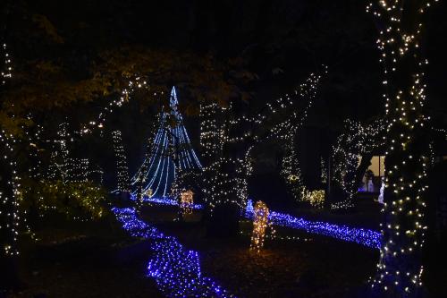 クリスマスイルミネーション