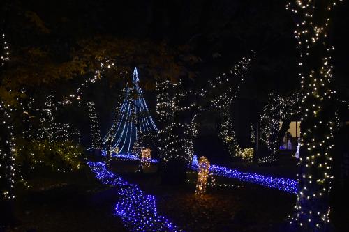 クリスマスイルミネーション