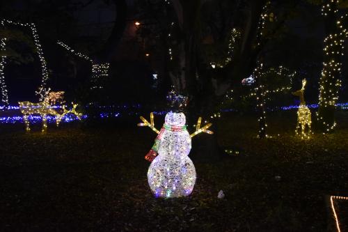 クリスマスイルミネーション