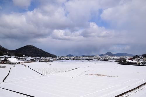 市内の様子