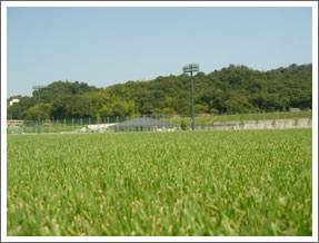 写真（鉢伏ふれあい公園グラウンド）