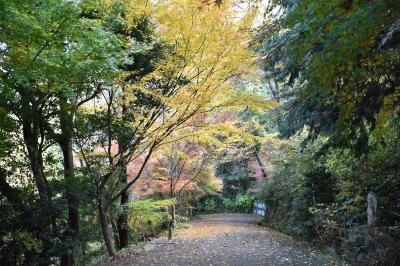 出釈迦寺奥の院