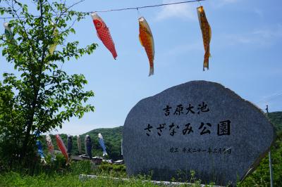 吉原大池さざなみ公園