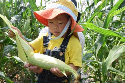 プレミアム未来収穫をする子どもの写真