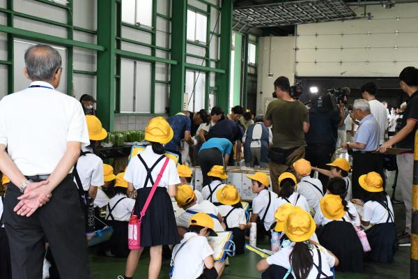 四角スイカ初出荷小学生見学の写真