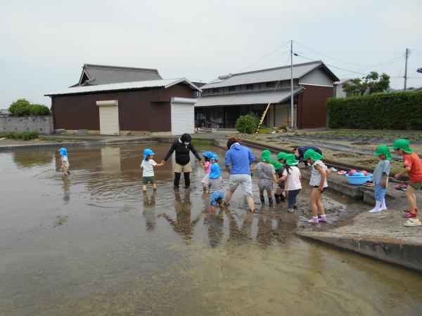 南部保育所のどろんこ遊び