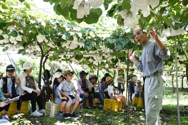 キウイ棚を見学する写真