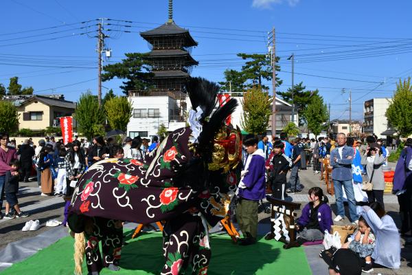 2024角獅子組写真１０