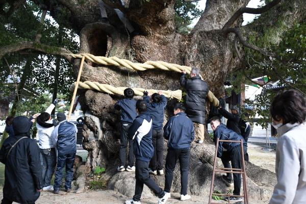 大しめ縄架け替えの写真