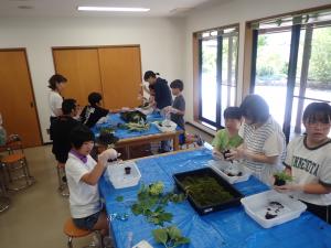 環境探検隊④