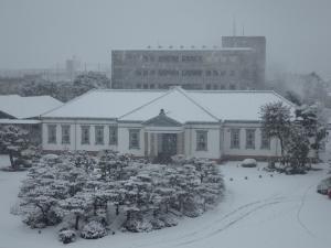 屋上から見た積雪の偕行社