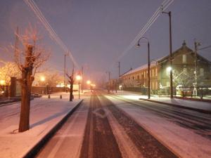 ゆうゆうロード　2月14日の雪景色写真1