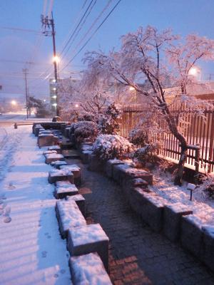 ゆうゆうロード雪景色2