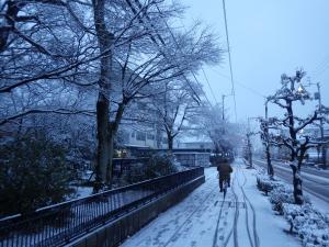 四国学院前雪景色1