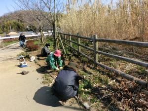 地蔵池での活動