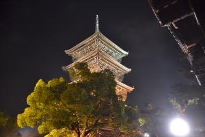 ライトアップ夜景写真２