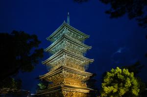 善通寺のレアなもの特集その1 - 今日のぜんつうじ - 善通寺市
