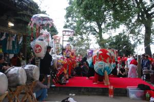 東木熊野神社東下獅子組獅子舞写真2