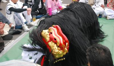 東原獅子組獅子舞写真１０