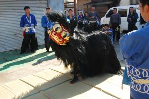 五条獅子組獅子舞写真4