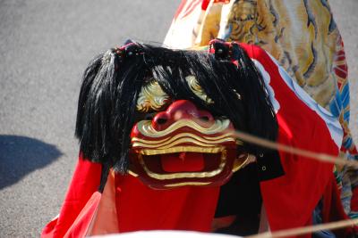 三井之江獅子組村づかい獅子舞写真３