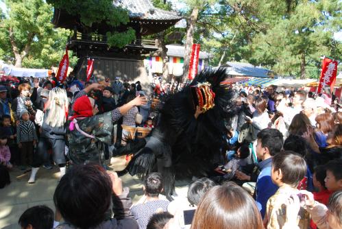 空海まつり五条獅子組獅子舞写真３